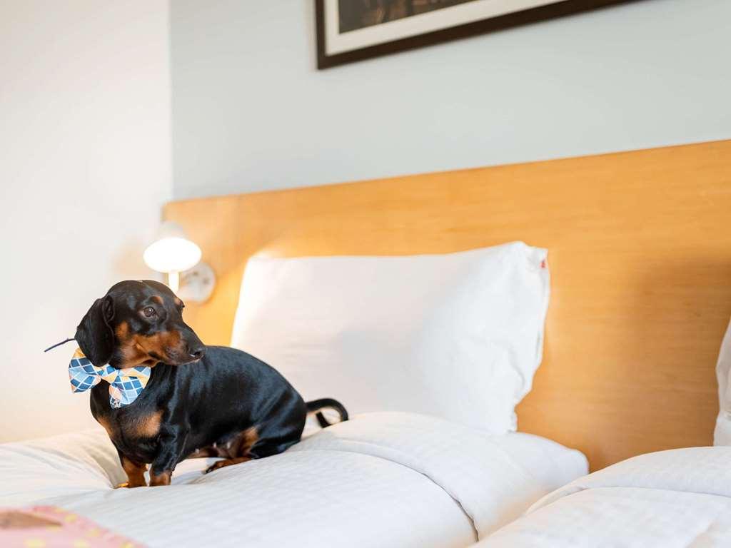 Ibis Jaipur City Centre - An Accor Brand Room photo